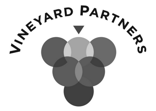 VINEYARD PARTNERS