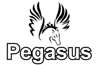 PEGASUS