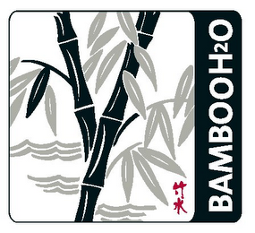 BAMBOO H2O