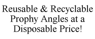 REUSABLE & RECYCLABLE PROPHY ANGLES AT A DISPOSABLE PRICE!