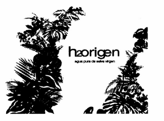 H2ORIGEN AGUA PURA DE SELVA VIRGEN