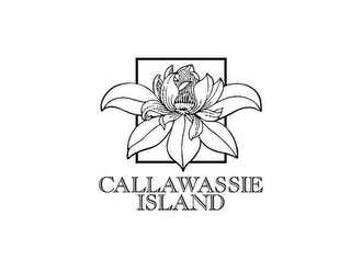 CALLAWASSIE ISLAND