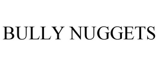 BULLY NUGGETS