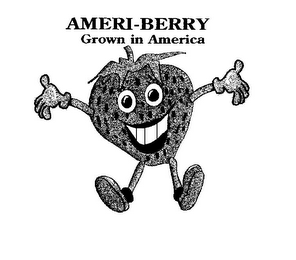 AMERI-BERRY GROWN IN AMERICA