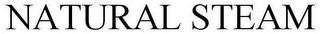 NATURALSTEAM