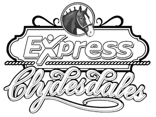 EXPRESS CLYDESDALES