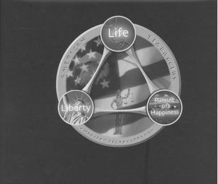 AMERICAN TEABAGGERS AMERICANTEABAGGERS.COM LIFE LIBERTY PURSUIT OF HAPPINESS