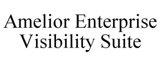 AMELIOR ENTERPRISE VISIBILITY SUITE