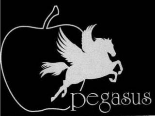 PEGASUS