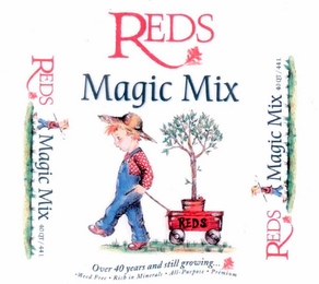 RED'S MAGIC MIX REGISTERED VERSION ADDS NO WATERMARK