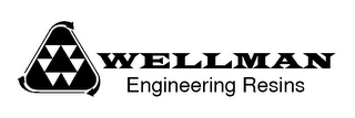 WELLMAN ENGINEERING RESINS