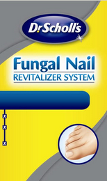 DR. SCHOLL'S FUNGAL NAIL REVITALIZER SYSTEM XXX