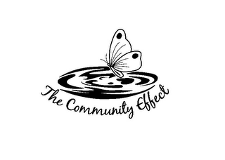 THE COMMUNITY EFFECT