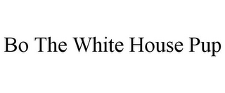 BO THE WHITE HOUSE PUP