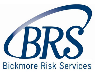 BRS BICKMORE RISK SERVICES