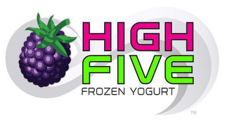 HIGH FIVE FROZEN YOGURT