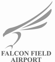 FALCON FIELD AIRPORT