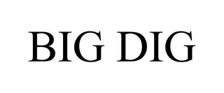 BIG DIG