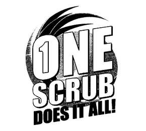 1 ONE SCRUB DOES IT ALL!