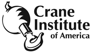 CRANE INSTITUTE OF AMERICA