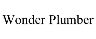 WONDER PLUMBER