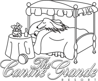 THE CANINE GRANDE RESORT