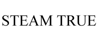 STEAM TRUE