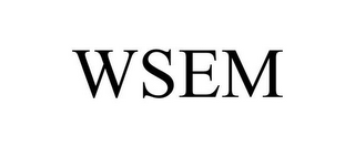 WSEM