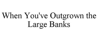 WHEN YOU'VE OUTGROWN THE LARGE BANKS