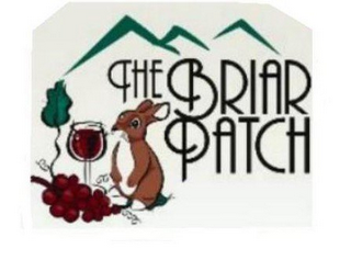 THE BRIAR PATCH