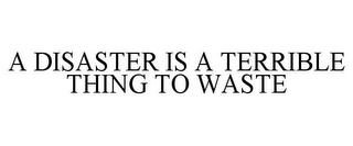 A DISASTER IS A TERRIBLE THING TO WASTE