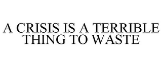 A CRISIS IS A TERRIBLE THING TO WASTE