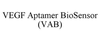 VEGF APTAMER BIOSENSOR (VAB)