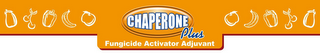 CHAPERONE PLUS, FUNGICIDE ACTIVATOR ADJUVANT