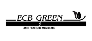 ECB GREEN ANTI-FRACTURE MEMBRANE