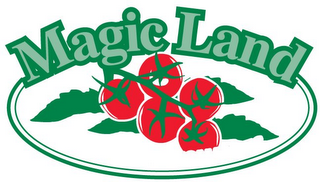 MAGIC LAND