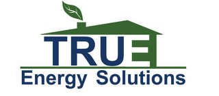 TRUE ENERGY SOLUTIONS