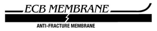 ECB MEMBRANE ANTI-FRACTURE MEMBRANE