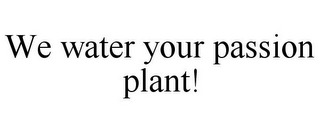 WE WATER YOUR PASSION PLANT!