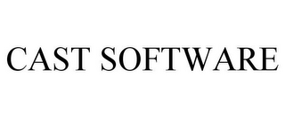 CAST SOFTWARE