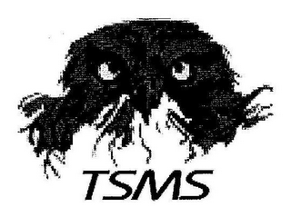 TSMS
