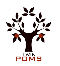 TWIN POMS