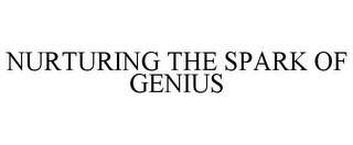 NURTURING THE SPARK OF GENIUS