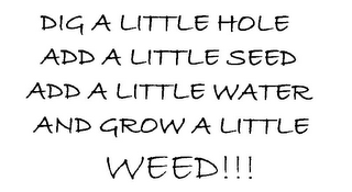 DIG A LITTLE HOLE ADD A LITTLE SEED ADD A LITTLE WATER AND GROW A LITTLE WEED!!!