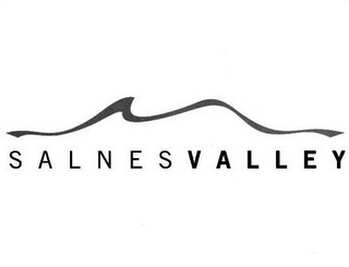 SALNES VALLEY