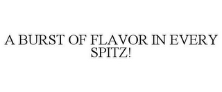 A BURST OF FLAVOR IN EVERY SPITZ!