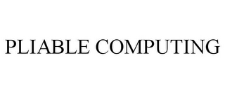 PLIABLE COMPUTING