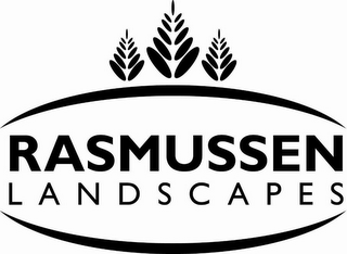 RASMUSSEN LANDSCAPES