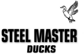 STEEL MASTER DUCKS