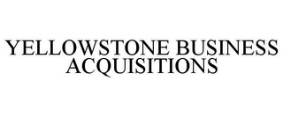 YELLOWSTONE BUSINESS ACQUISITIONS